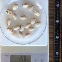 ～20g分（18個）の殻付きピスタチオ