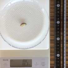 殻抜きピスタチオ、1個