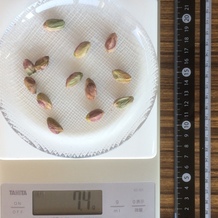 殻抜きピスタチオ、13個