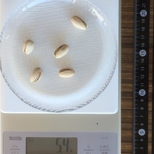 殻付きピスタチオ、5個