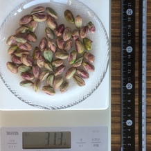 ～60g分の殻抜きピスタチオ