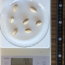 殻付きピスタチオ、7個