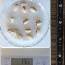 殻付きピスタチオ、13個