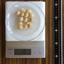 20gのマカダミアナッツ