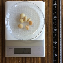 10gのマカダミアナッツ