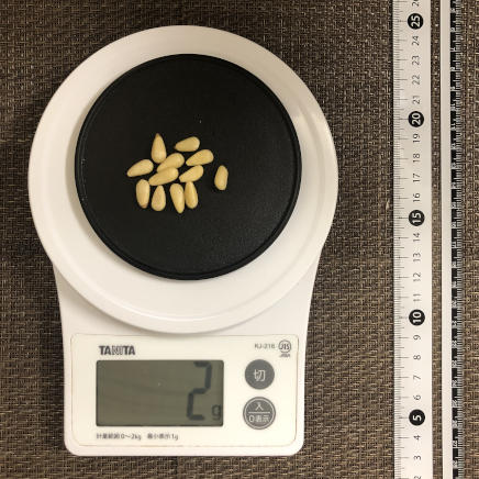 丸平皿1枚・10粒2g