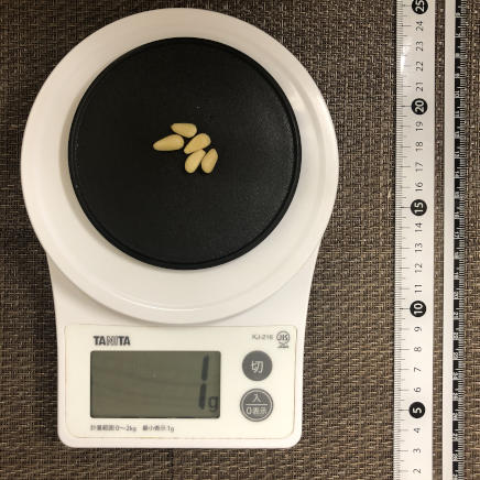 丸平皿1枚・5粒1g