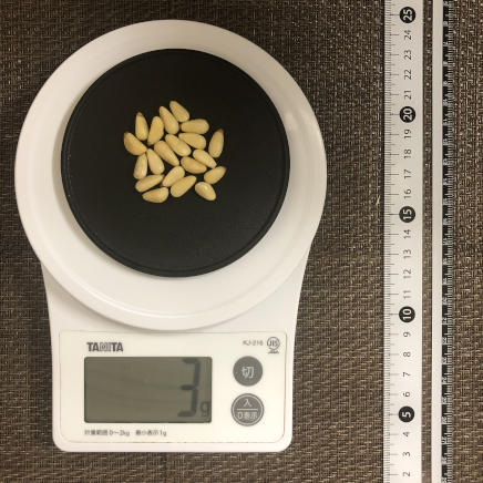 丸平皿1枚・15粒3g