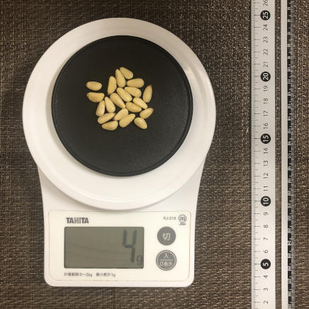 丸平皿1枚・20粒4g