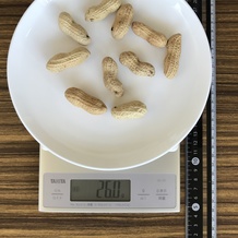 落花生、10個(殻付き)
