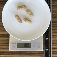 10g位の落花生(殻付き)