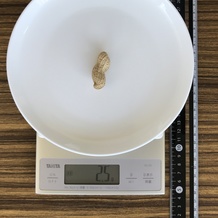 落花生、1個(殻付き)