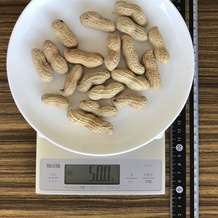 50g位の落花生(殻付き)