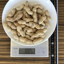 100g位の落花生(殻付き)