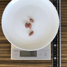 落花生、5g分の可食部