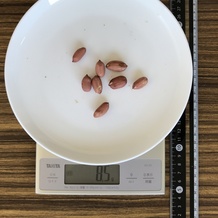 落花生、10g分の可食部
