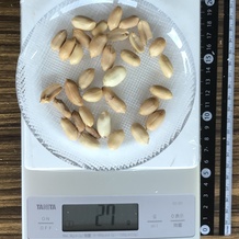 落花生1掴み(広げた) 27g