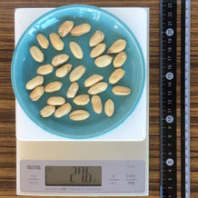 バターピーナッツ30個 28g