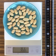 バターピーナッツ40個 37g