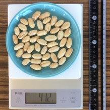 バターピーナッツ45個 41g