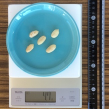 バターピーナッツ5個 5g