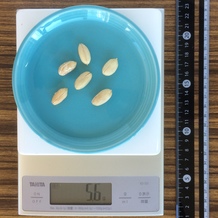 バターピーナッツ6個 6g