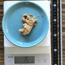 100kcal分のピナッツバーター 15g