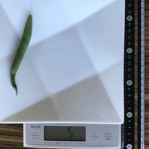 茹でたさやいんげん 5g