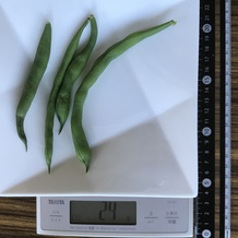 茹でたさやいんげん 24g