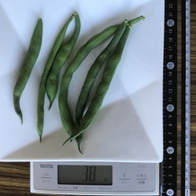 茹でたさやいんげん 38g