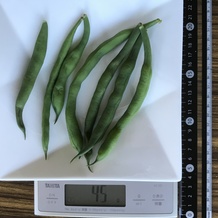 茹でたさやいんげん 45g