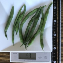 茹でたさやいんげん 53g