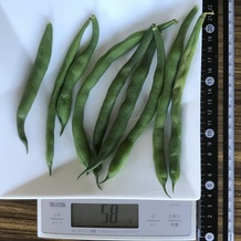 茹でたさやいんげん 58g