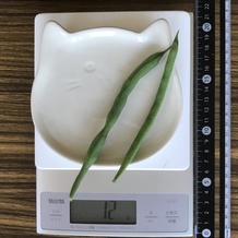 茹でたさやいんげん 12g