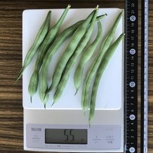 さやいんげん 55g