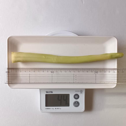 1本44gの山うど(1本82gの可食部)