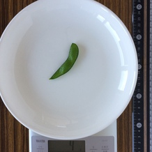 枝豆 1個 4g 3kcal