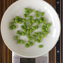 枝豆 (可食部) 44g