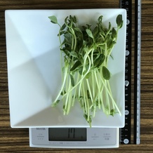 豆苗 17g