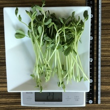 豆苗 23g