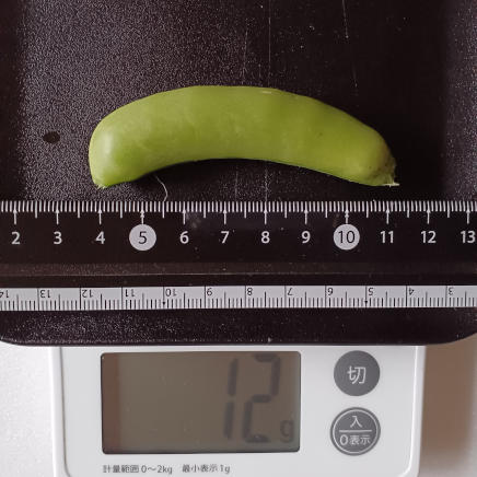 12gのスナップえんどう
