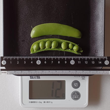 スナップえんどう12gの中身