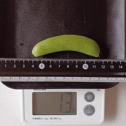 13gのスナップえんどう
