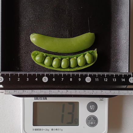 スナップえんどう13gの中身