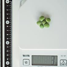 グリーンピース 3g