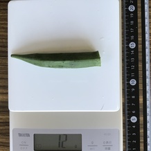 オクラ 12g