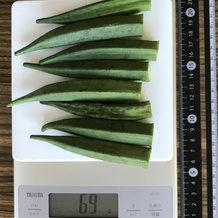 オクラ 69g