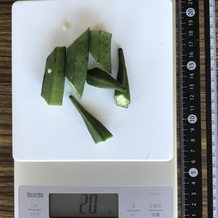 オクラ 20g