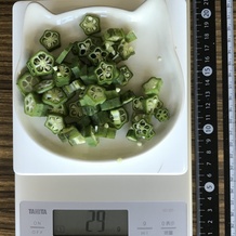 オクラ 29g