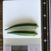 オクラ 22g